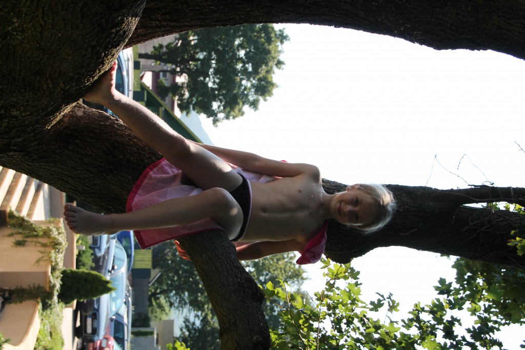 IMG_2680-1024x682