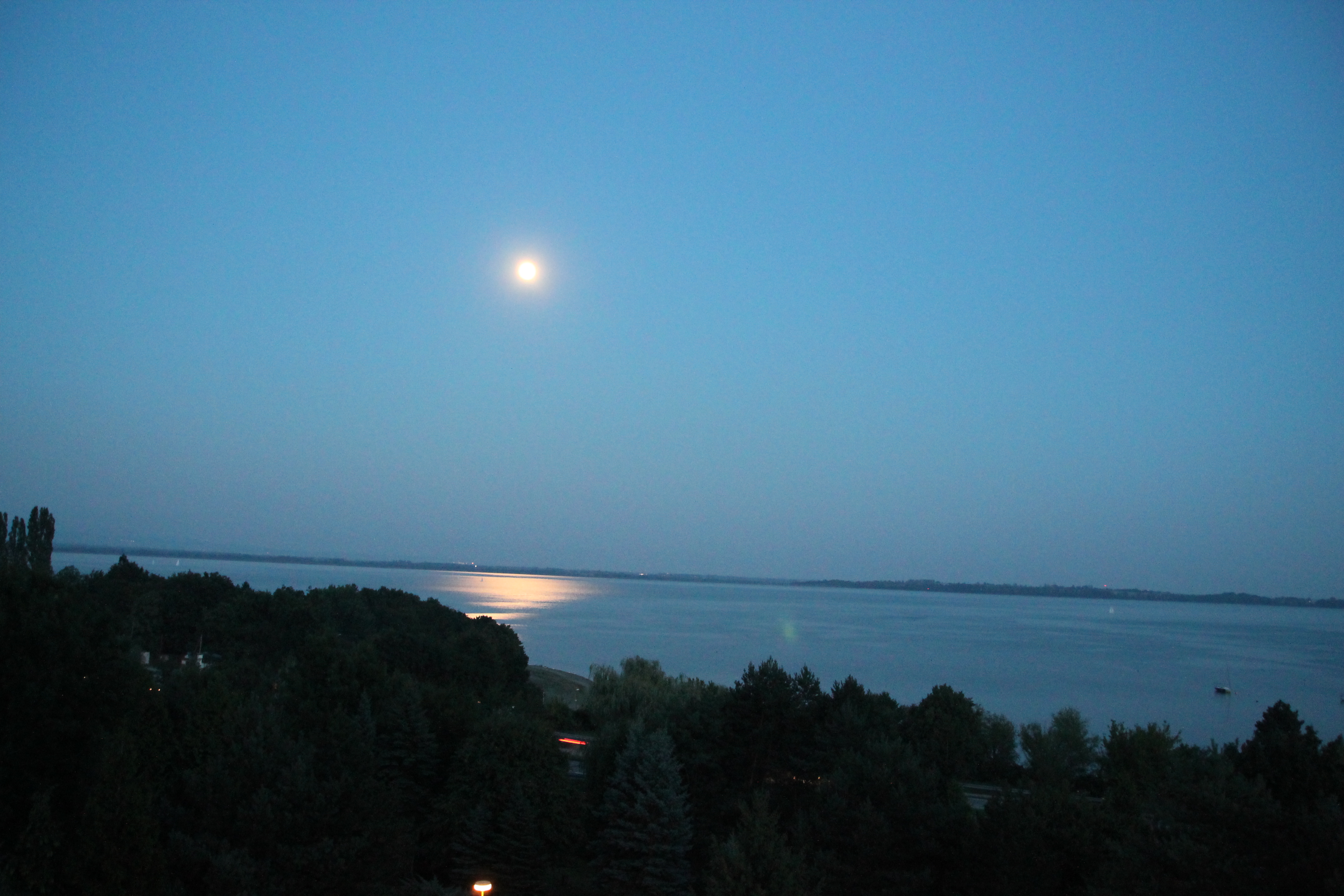 IMG_2695-—-копия