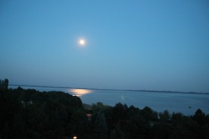 IMG_2695-—-копия1-300x200