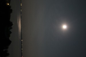 IMG_2707-—-копия-300x200