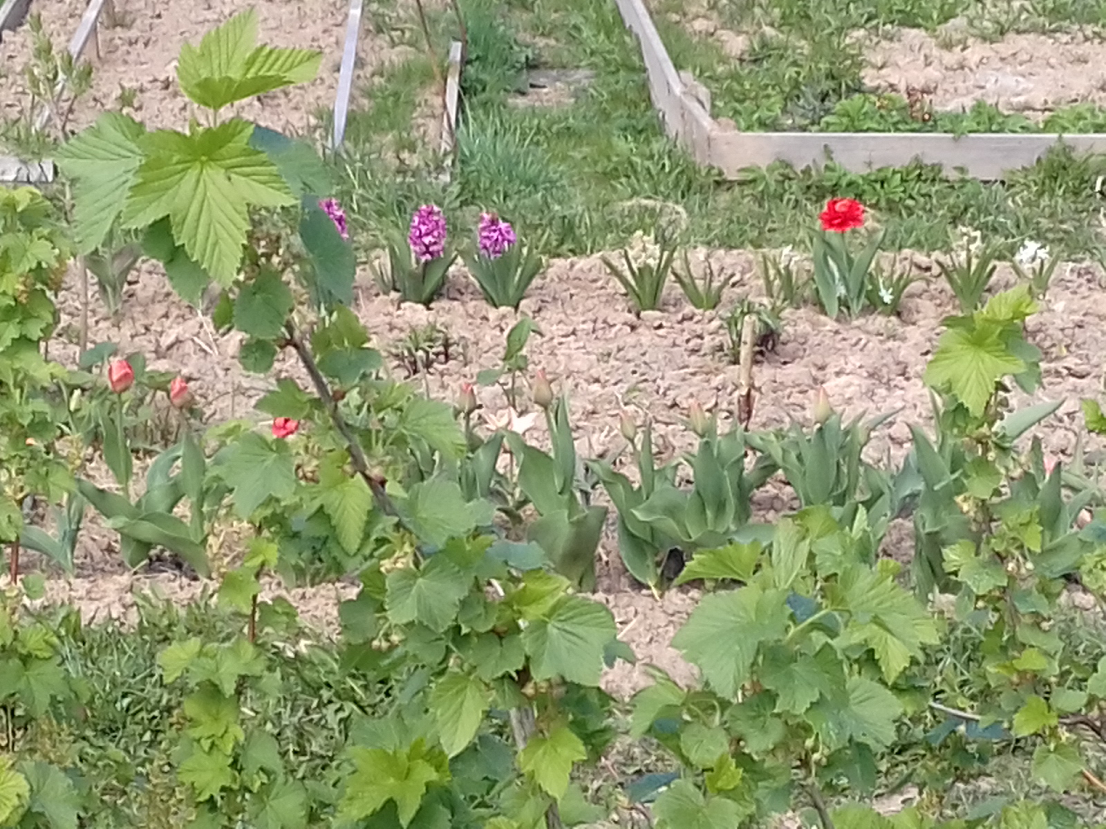 20170507_122255