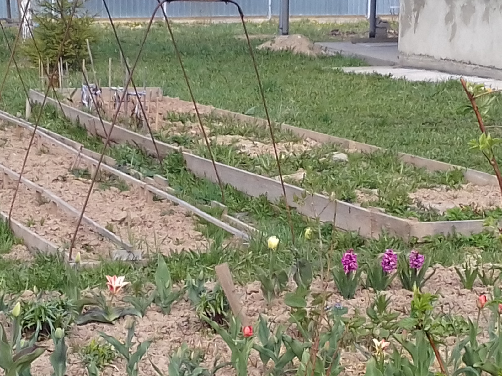20170507_122343