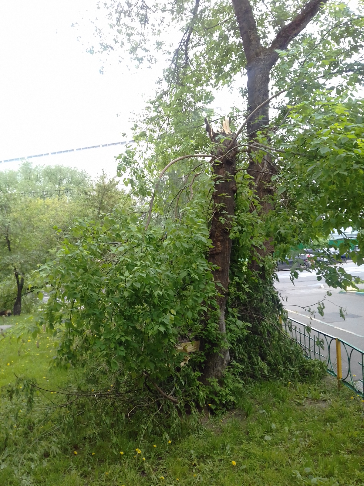 20170531_133638