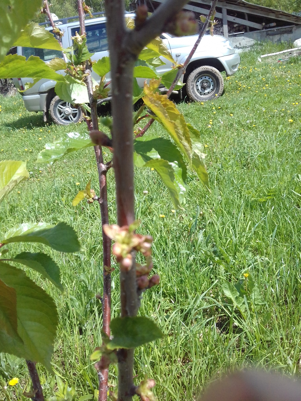 20170603_130952