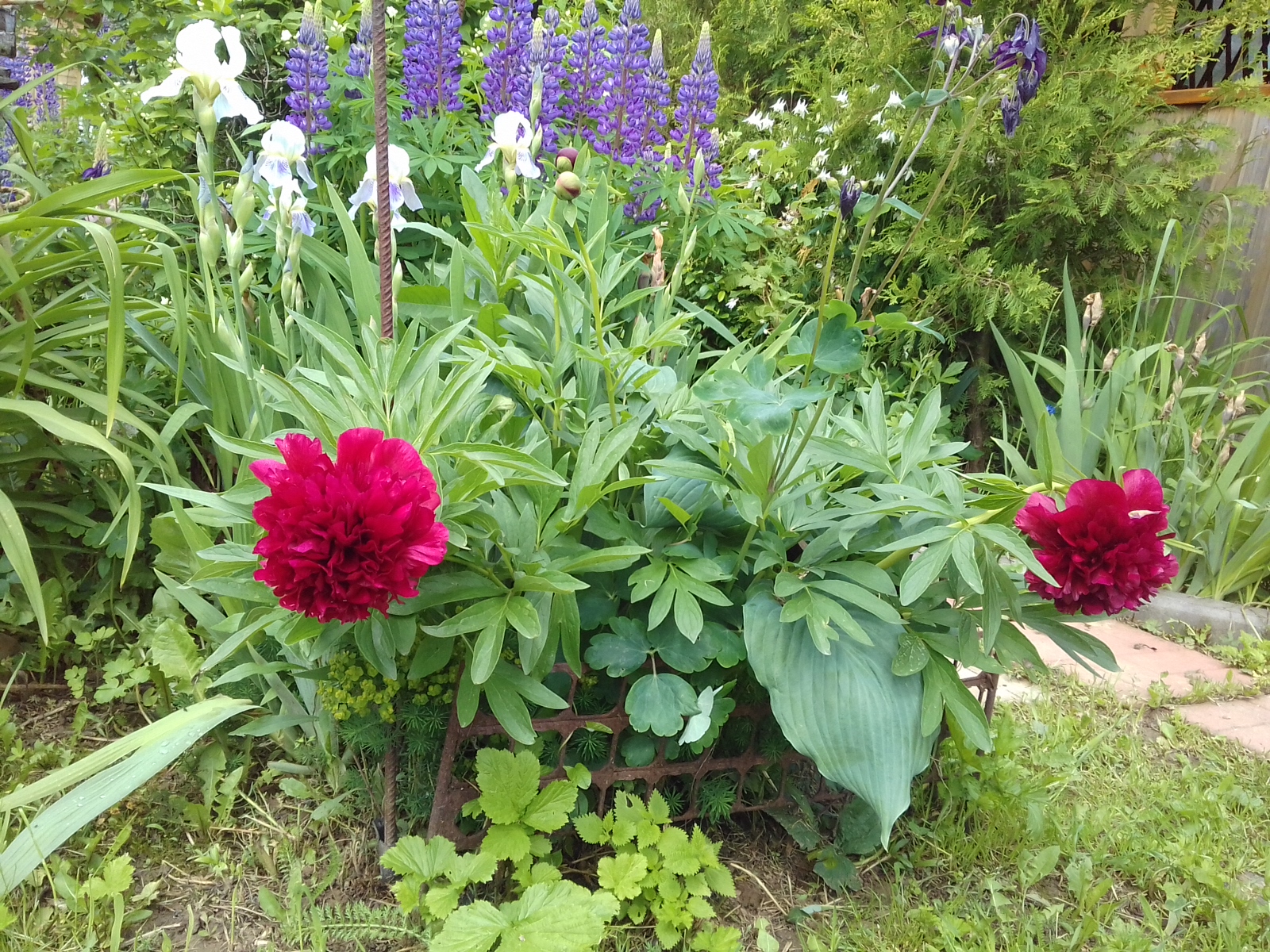 20170617_140005