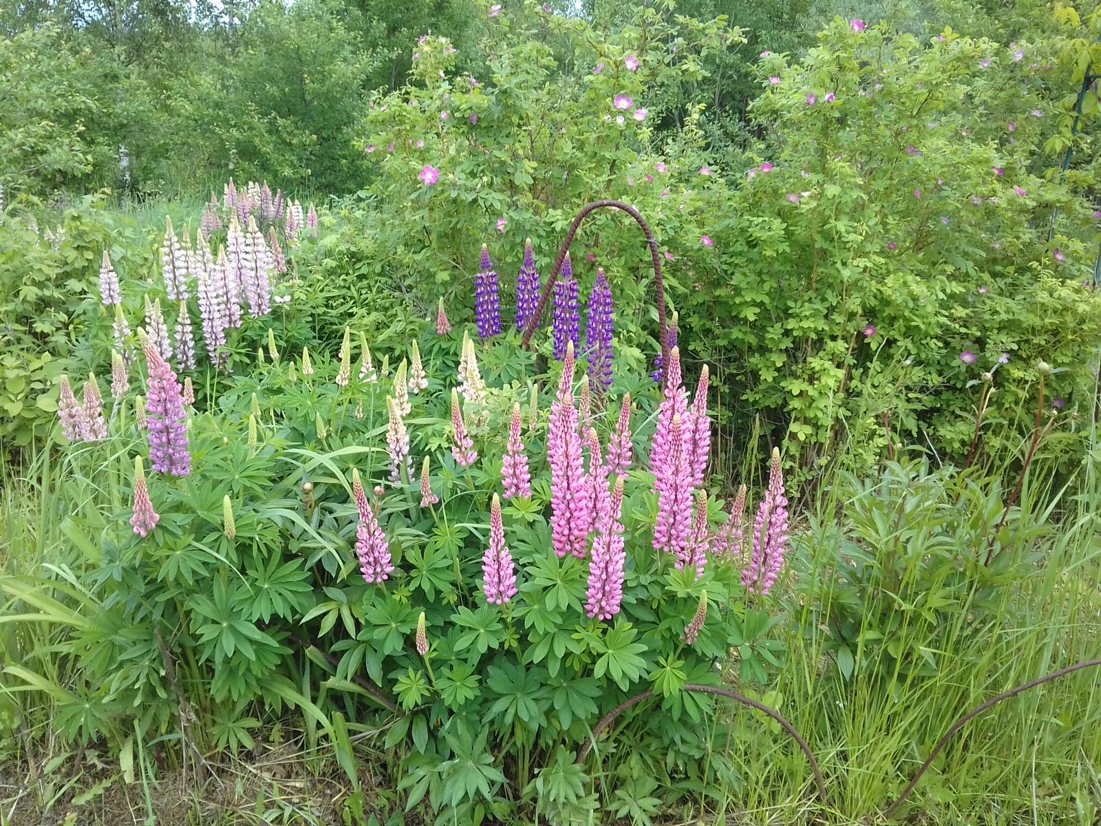 20170617_140137