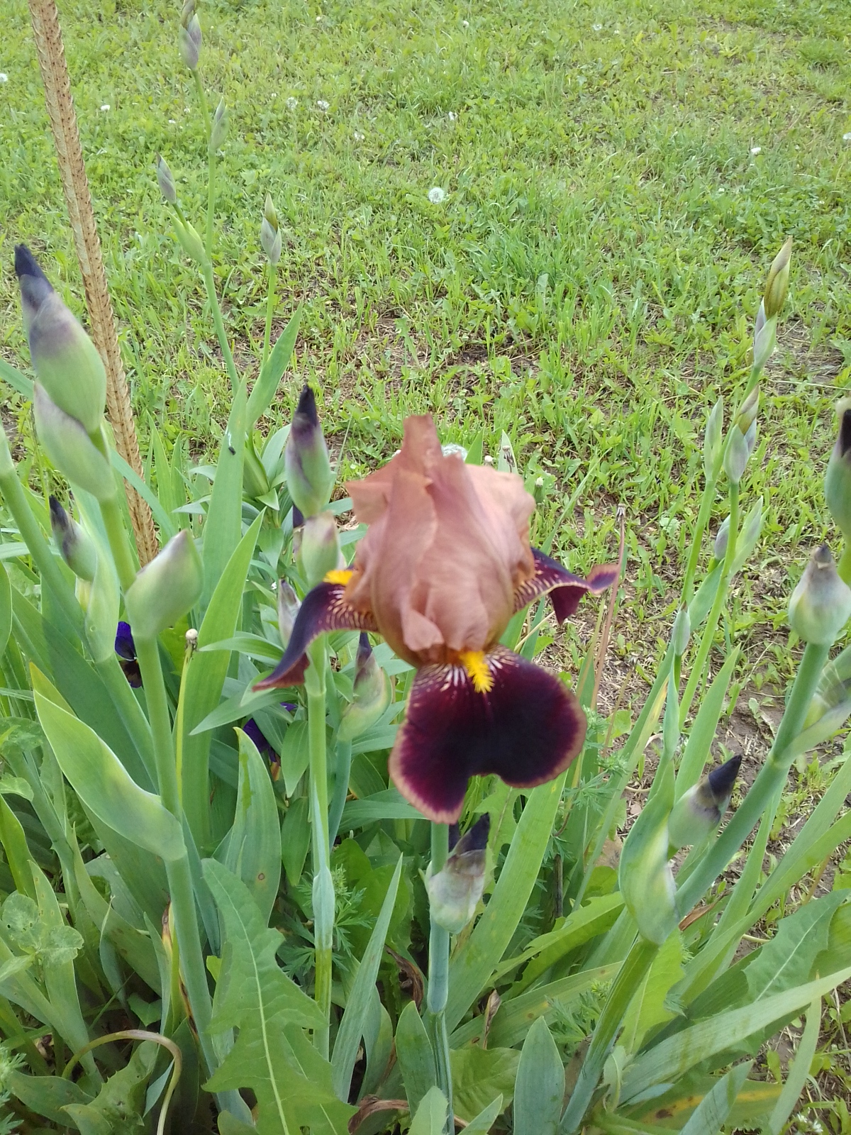 20170617_140514
