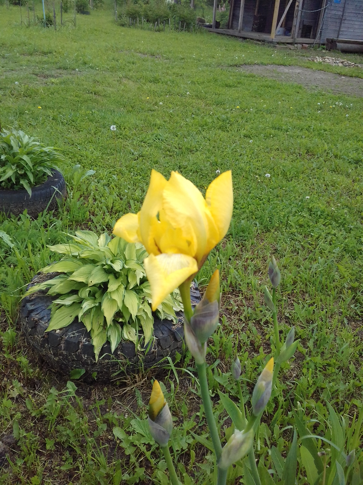 20170617_140517