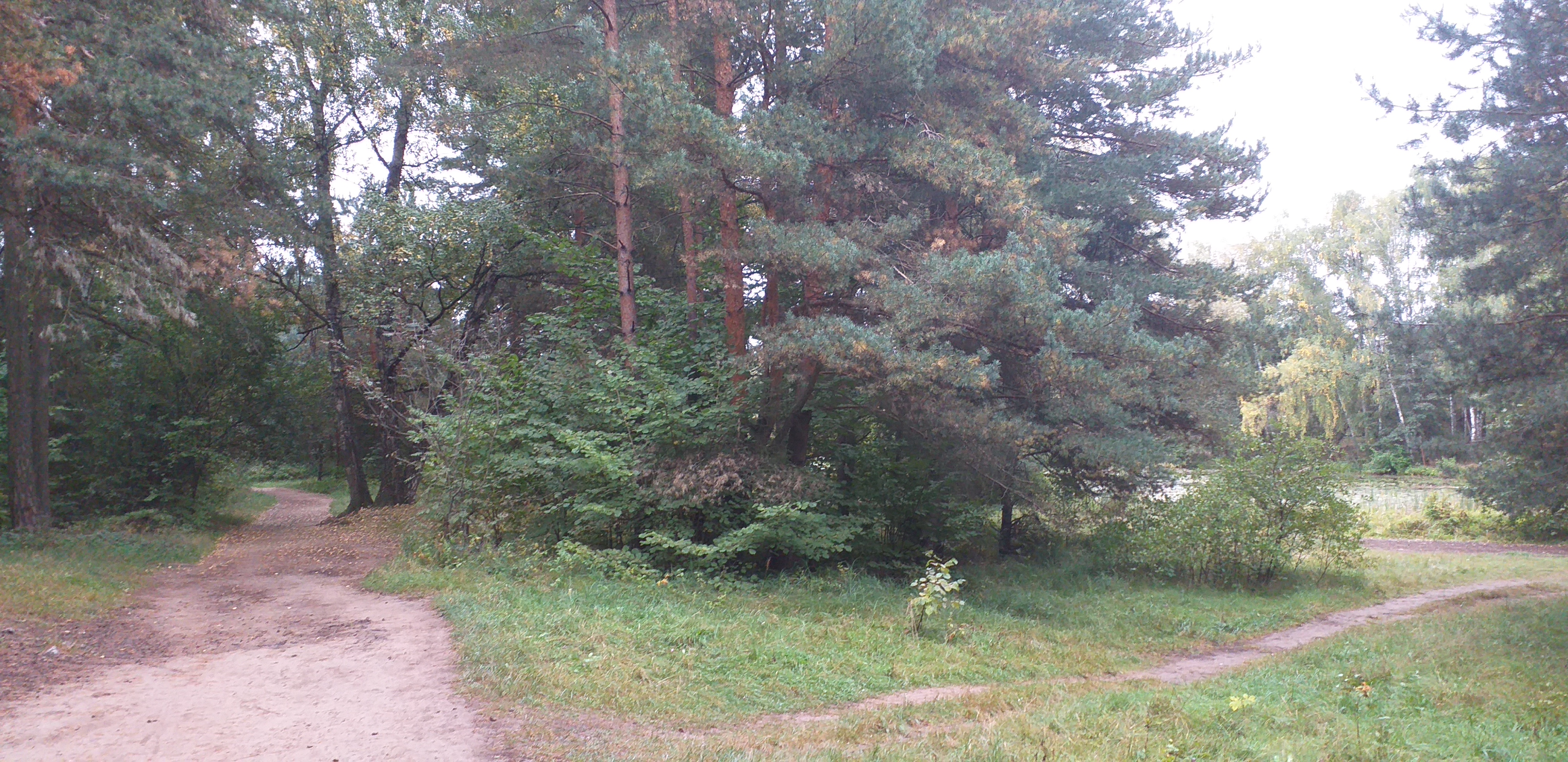 20230916_080912