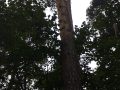 20230916_081800 20230916_081800
