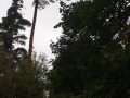 20230916_081804 20230916_081804