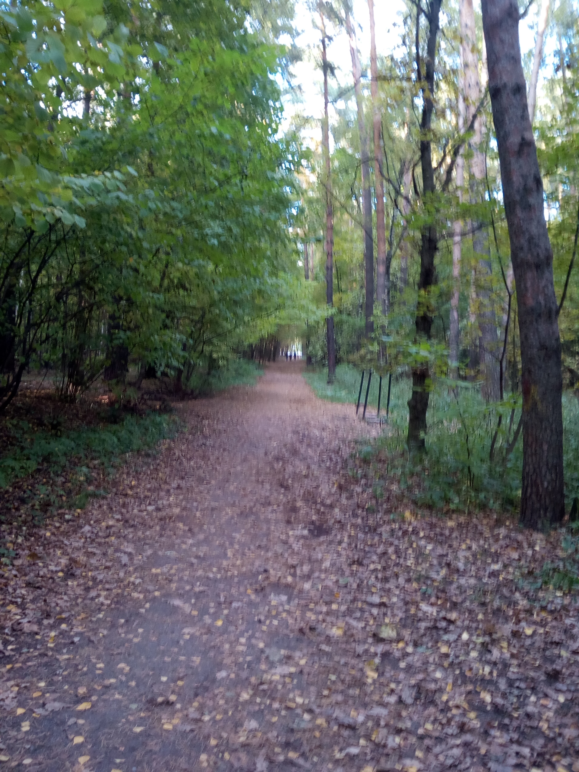 IMG_20171008_160249