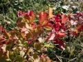 IMG_20170924_121632