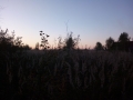 IMG_20170924_181623