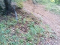 IMG_20171008_153336