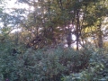 IMG_20171008_154407
