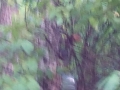 IMG_20171008_161832