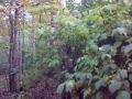 IMG_20171008_161842