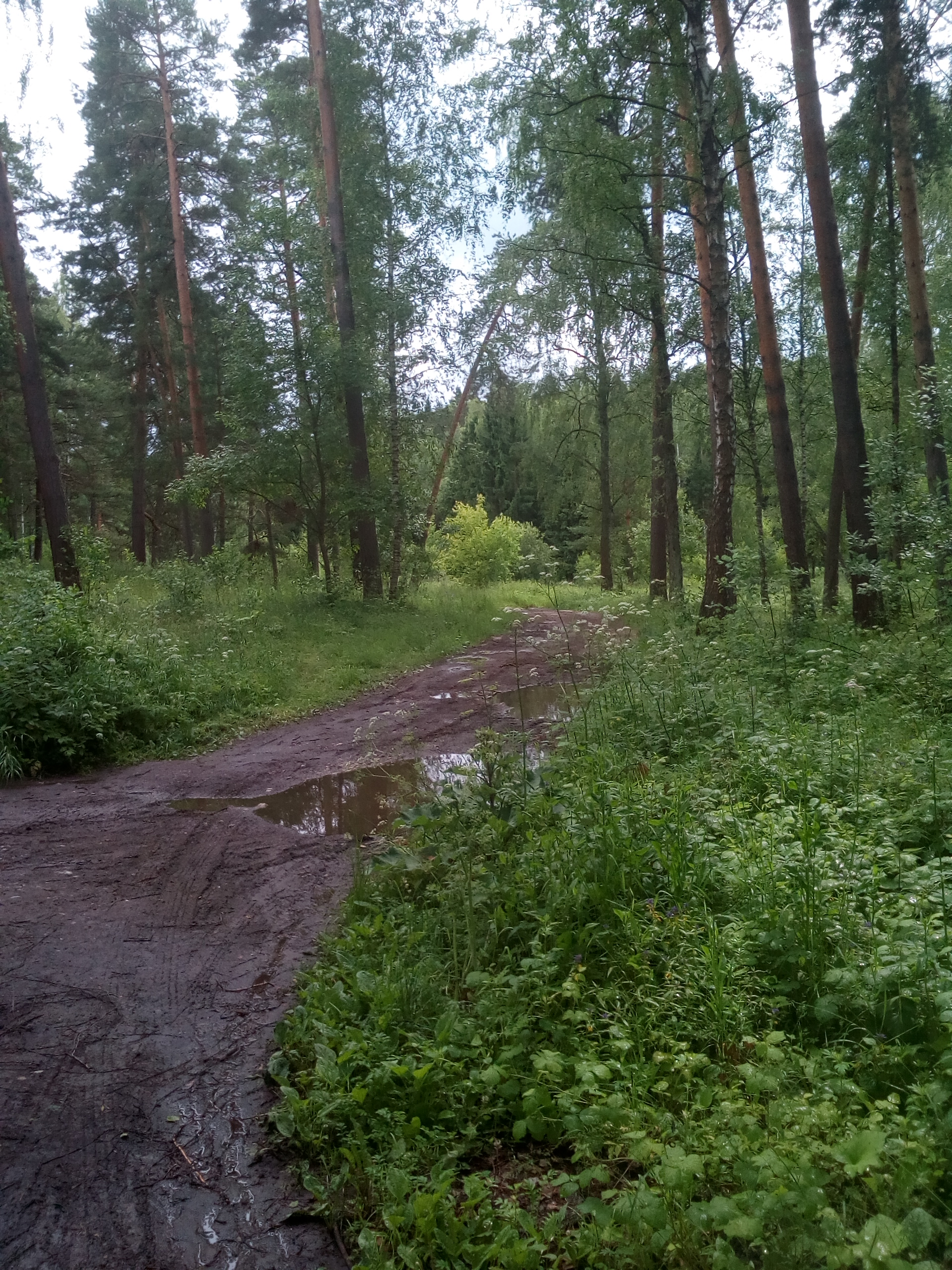 IMG_20170703_133526