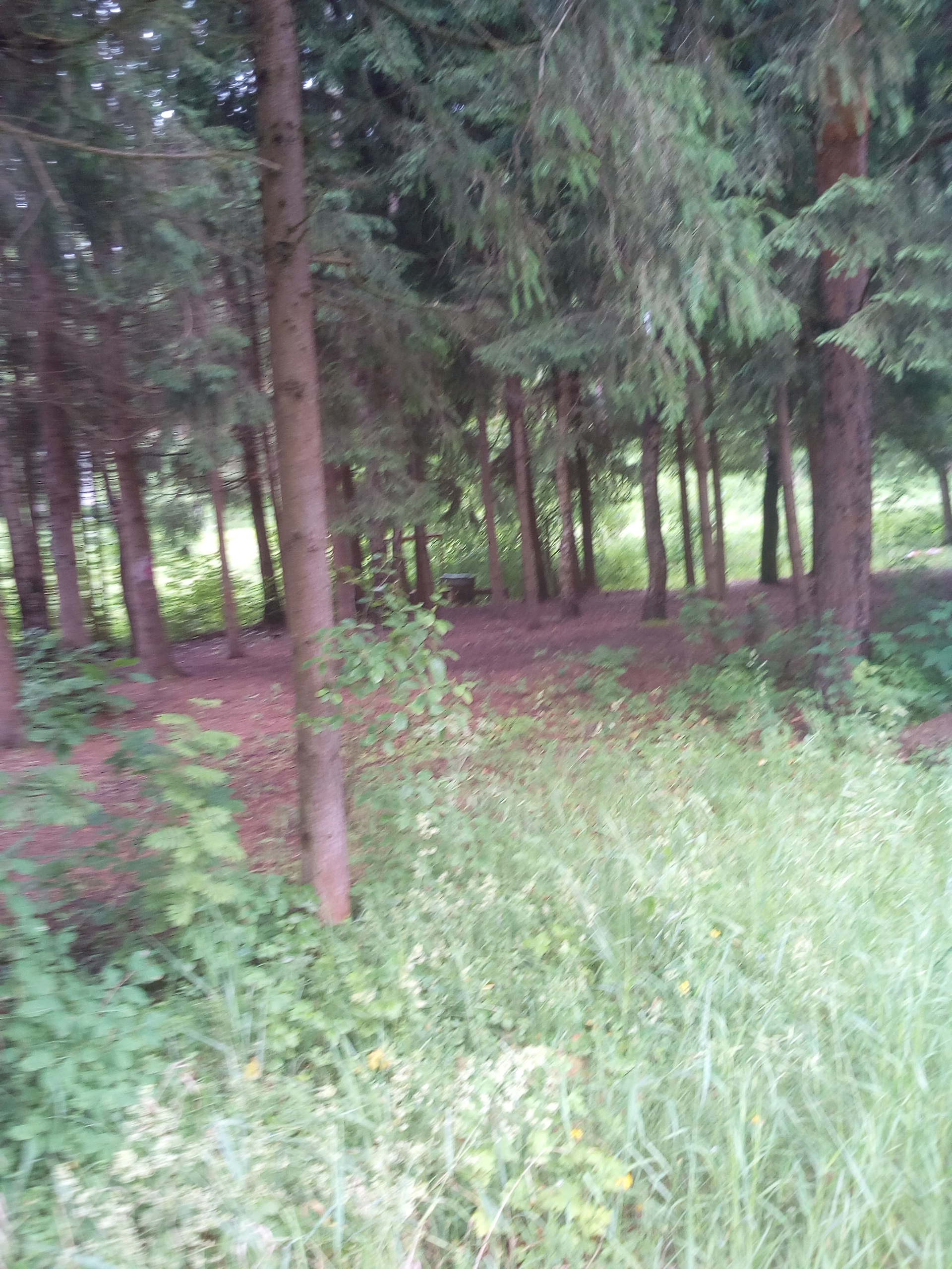 IMG_20170703_133803