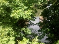 IMG_20170703_123504