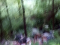 IMG_20170703_125044