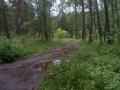 IMG_20170703_133526