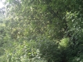 IMG_20170703_135614