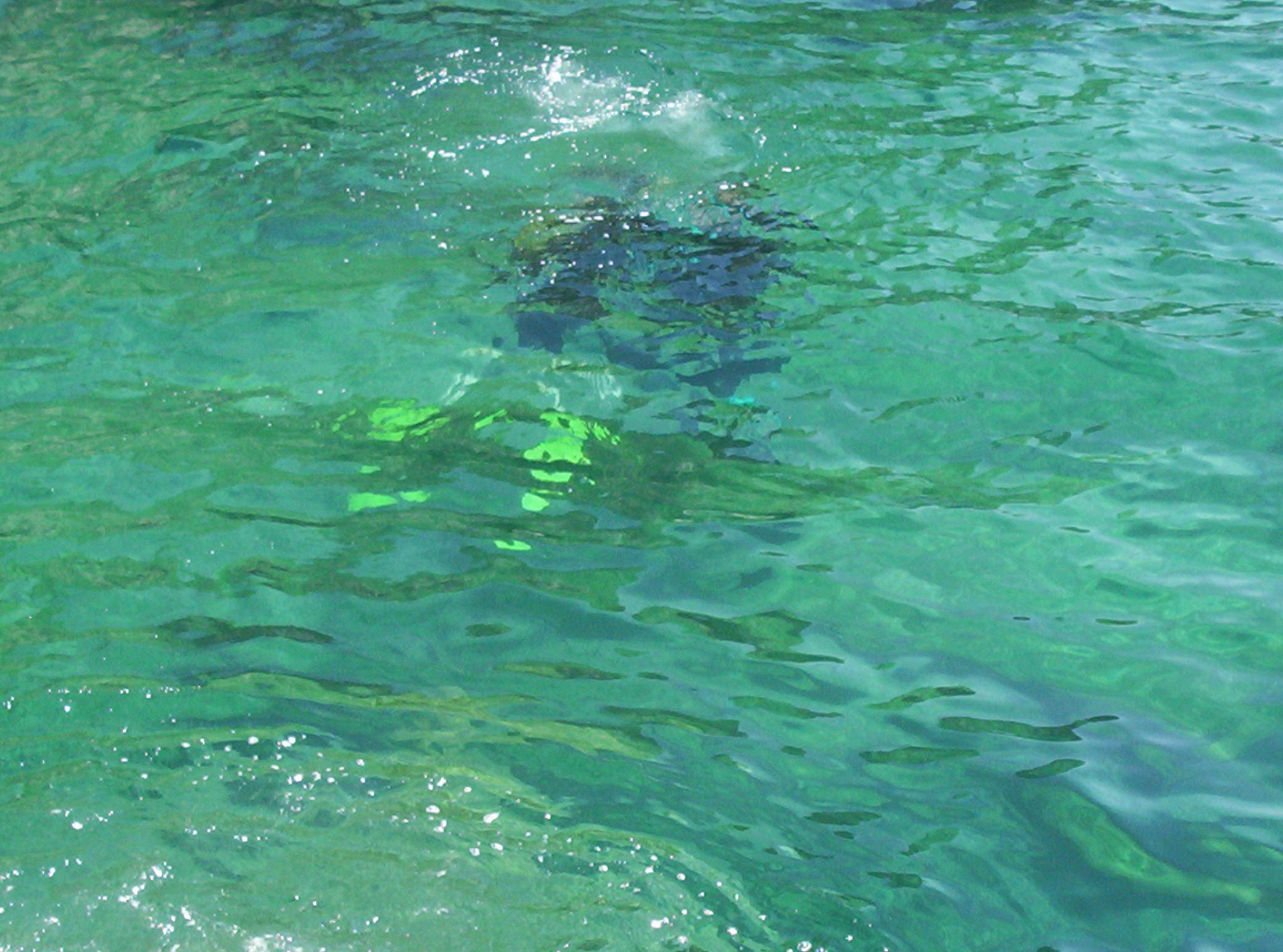 Alanya Turkey 2006 338
