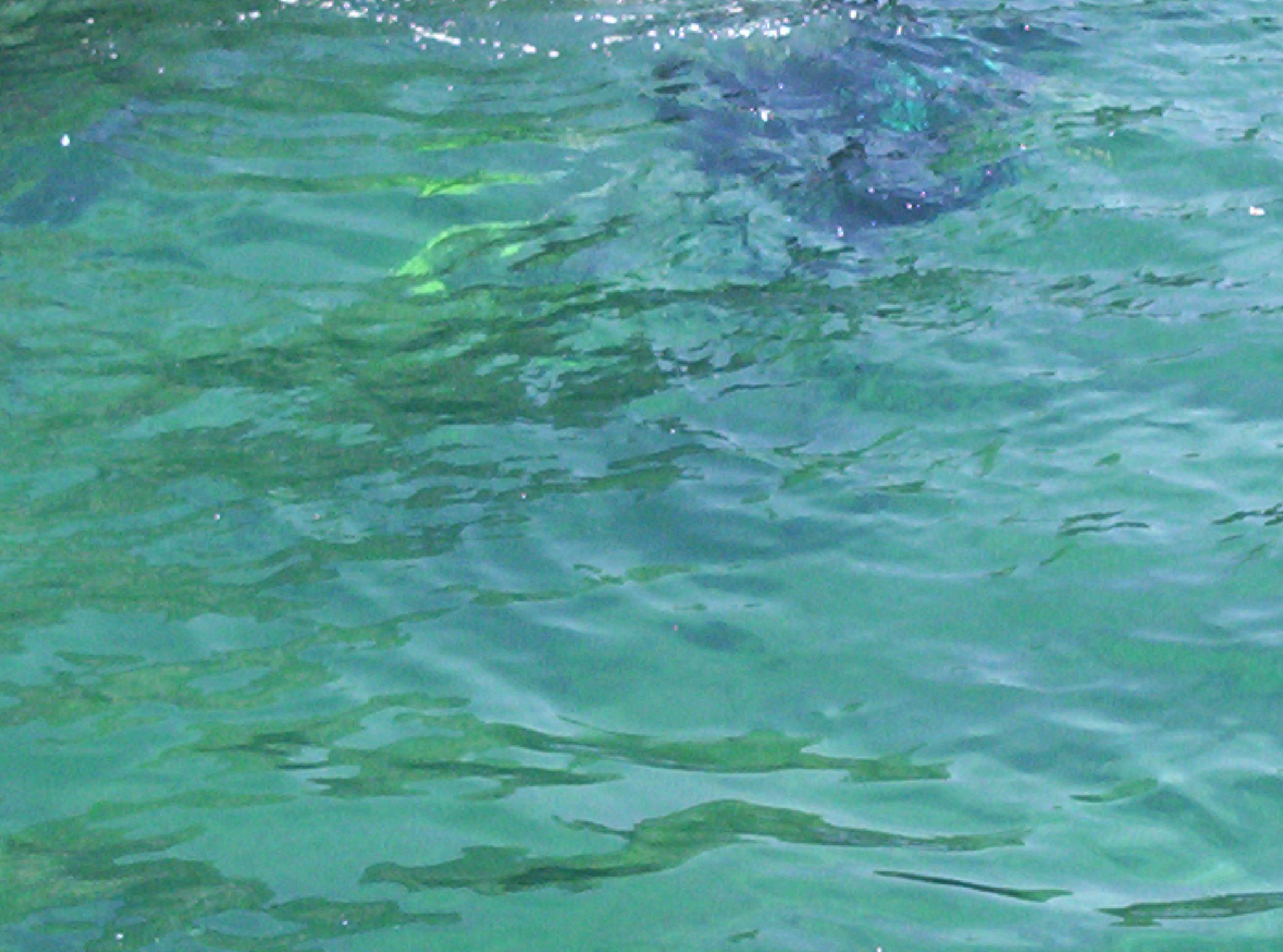 Alanya Turkey 2006 339