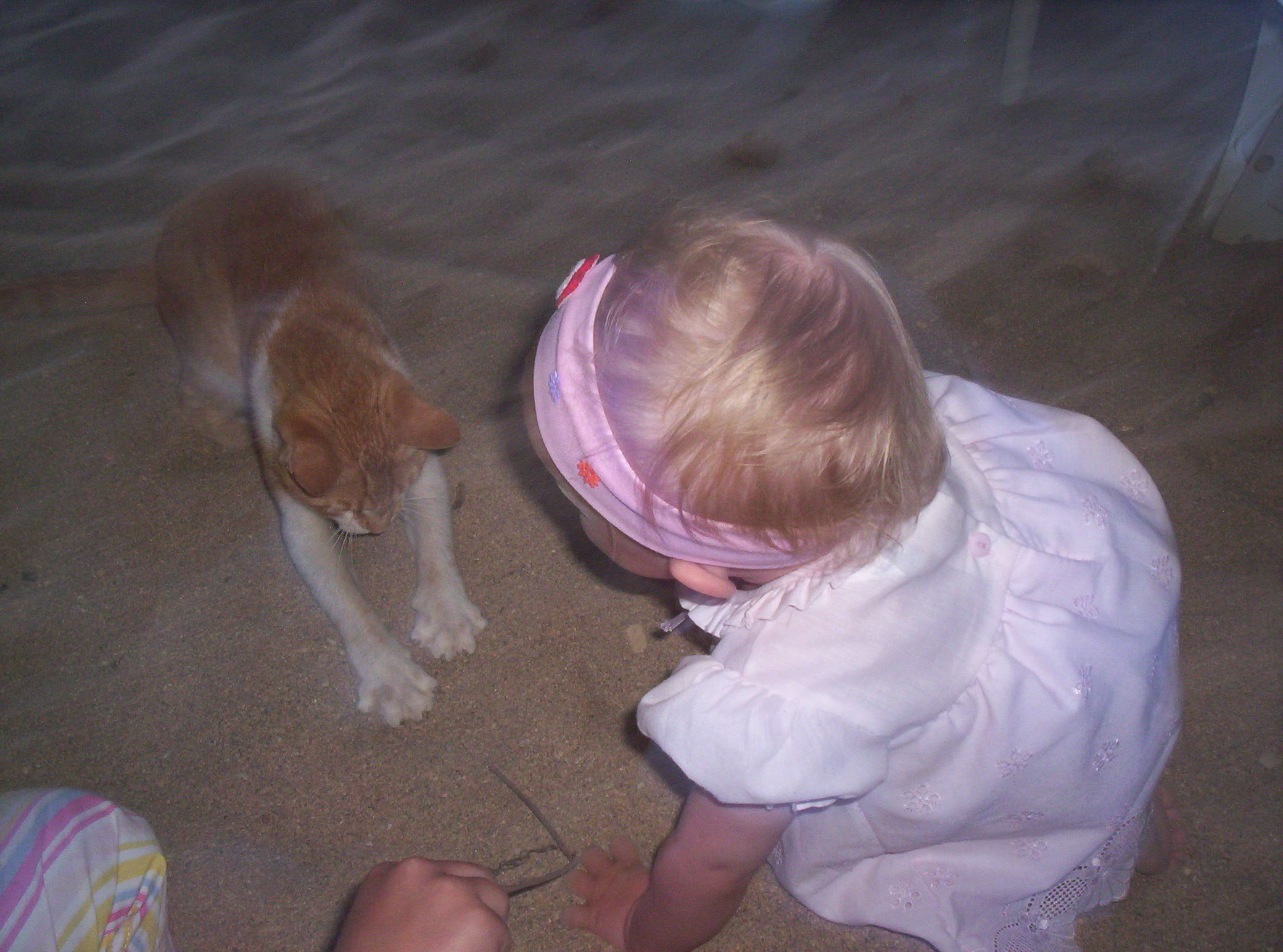Alanya Turkey 2006 399