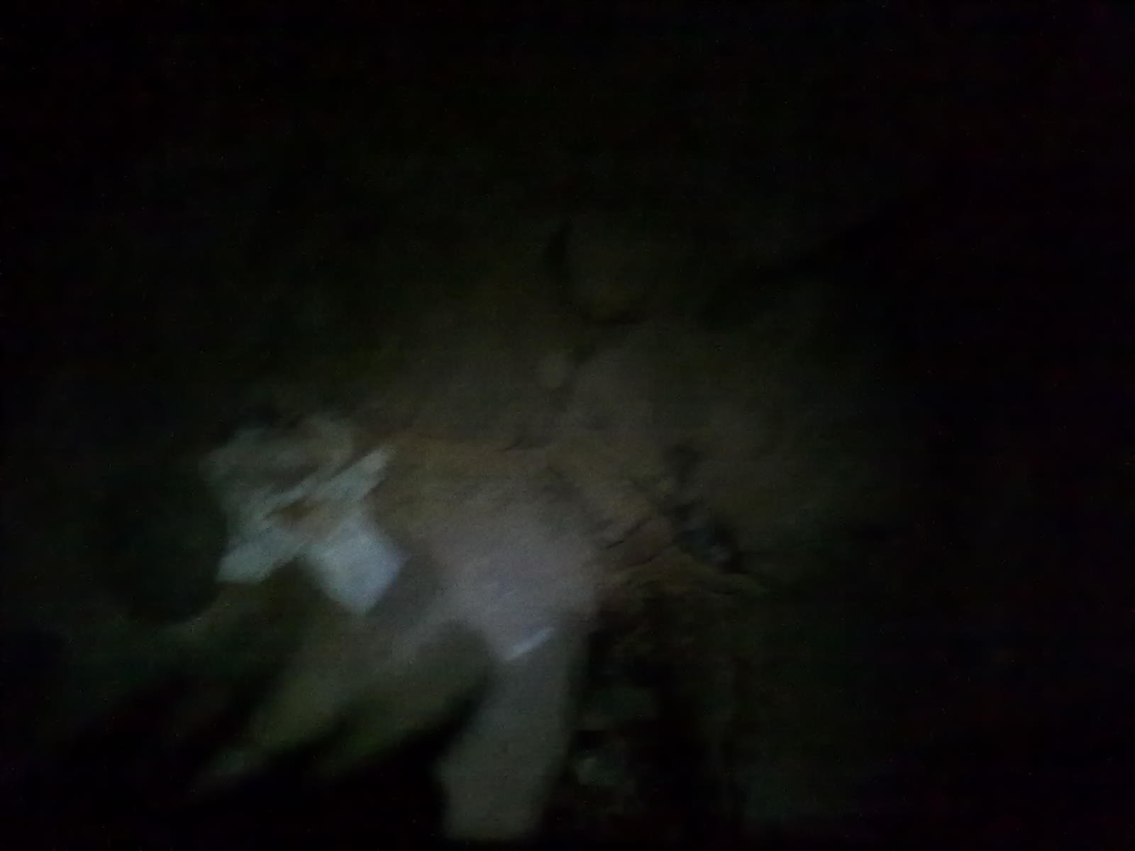 28122013258