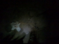 28122013258