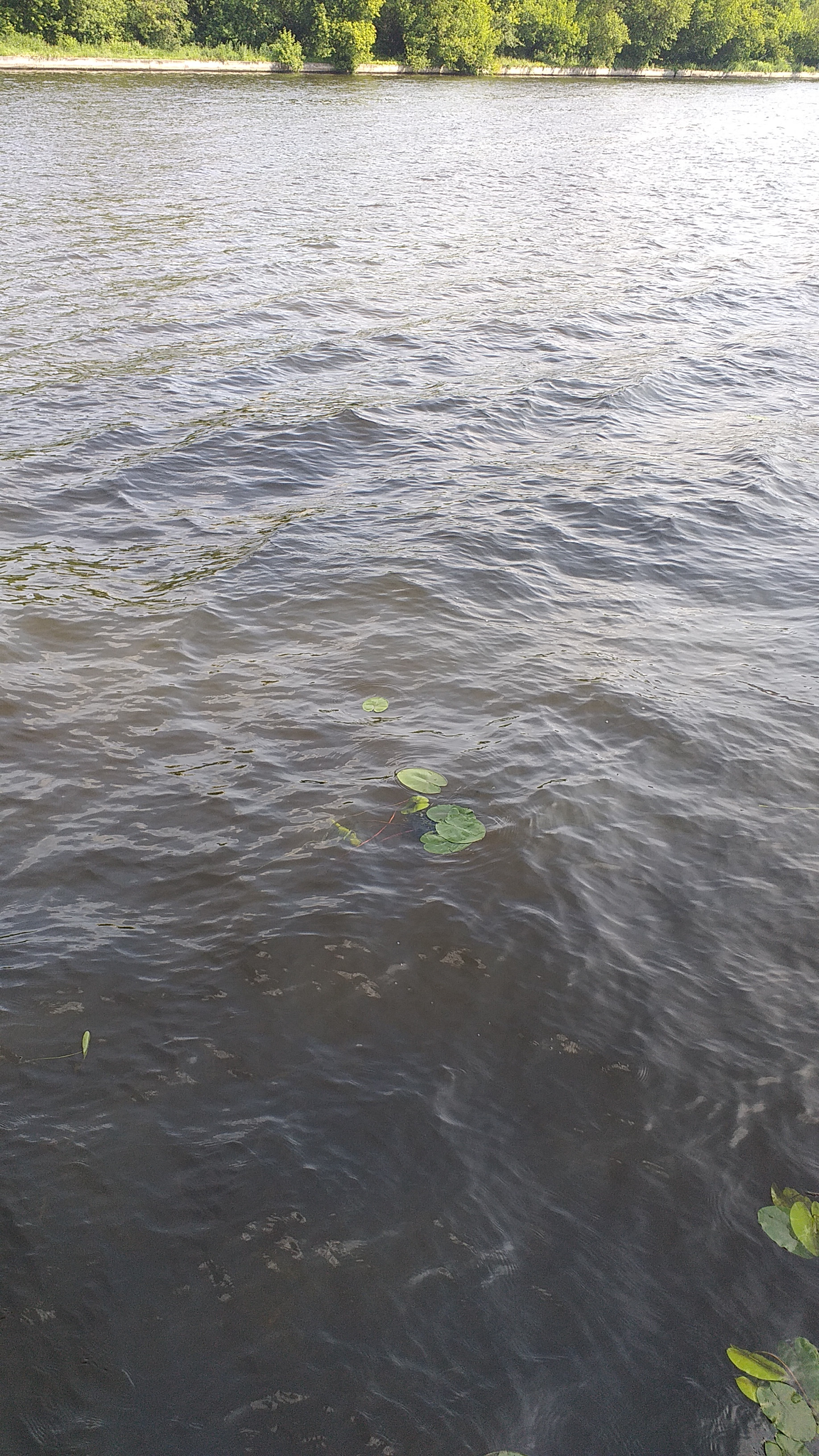 IMG-20230625-WA0007