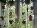 IMG-20230625-WA0006