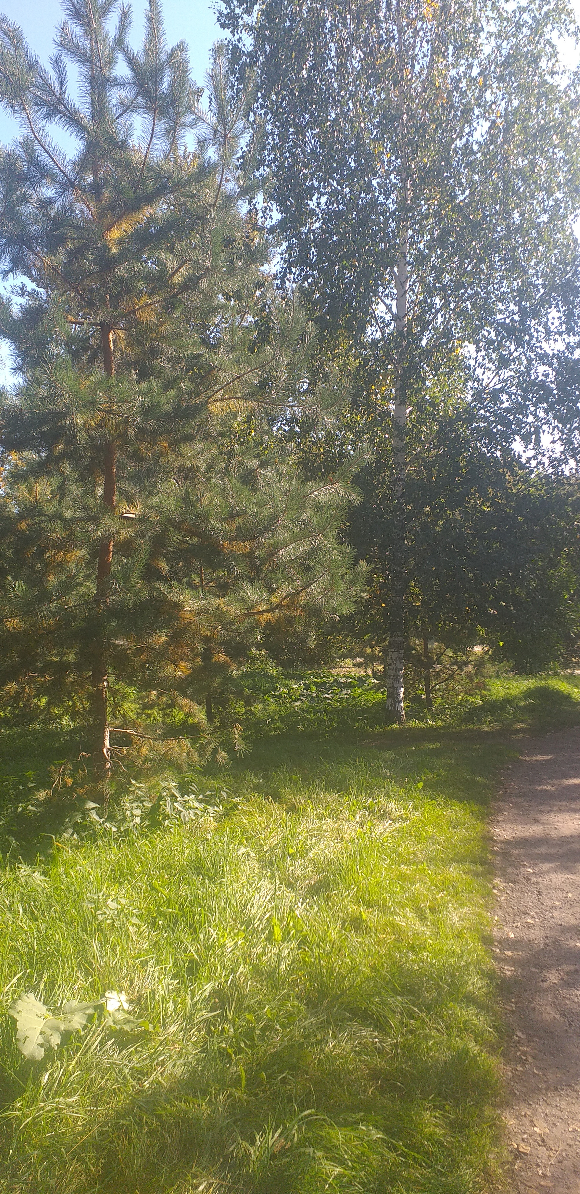 20230917_105239
