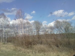 IMG_20150425_152727