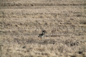 IMG_3972