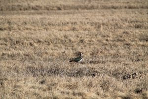 IMG_3973