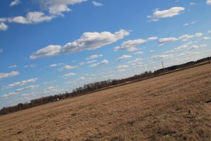 IMG_3975