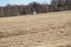 IMG_3976