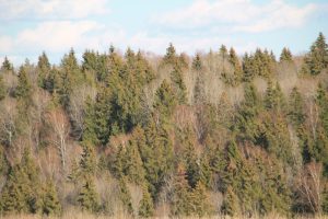 IMG_3978