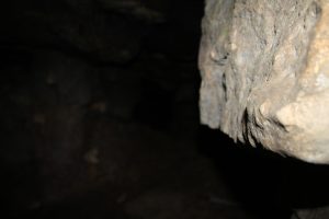 IMG_4012