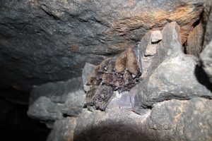 IMG_4018
