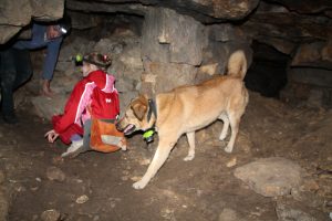 IMG_4021