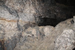 IMG_4034