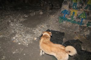 IMG_4055