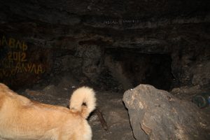 IMG_4085