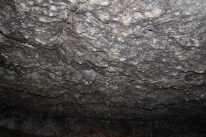 IMG_4132
