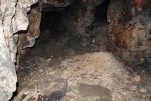 IMG_4147